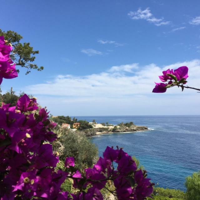 Elanda Villa Cap-d'Ail Dış mekan fotoğraf